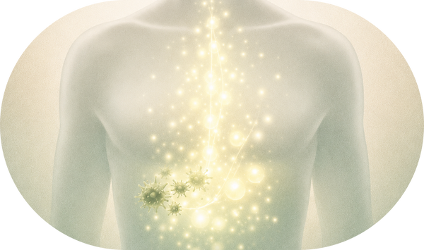Whole-Body Freshness From Within