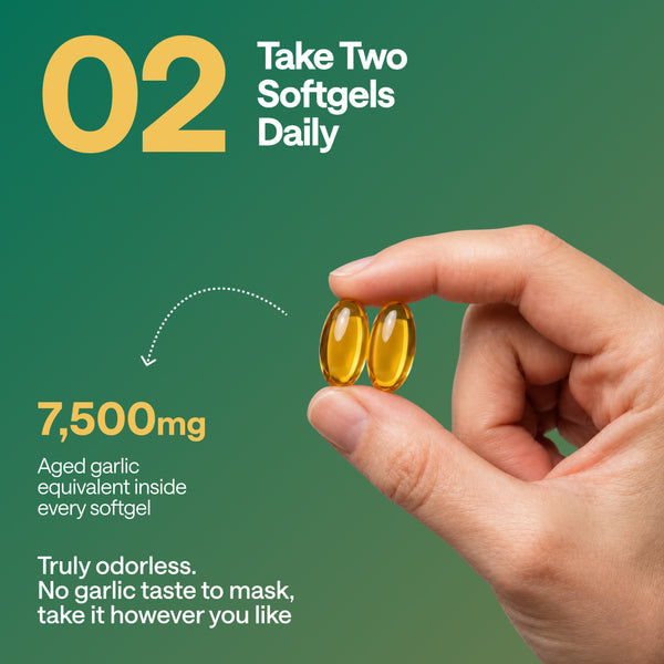 Aged Garlic Extract - 7500mg Odorless Softgels