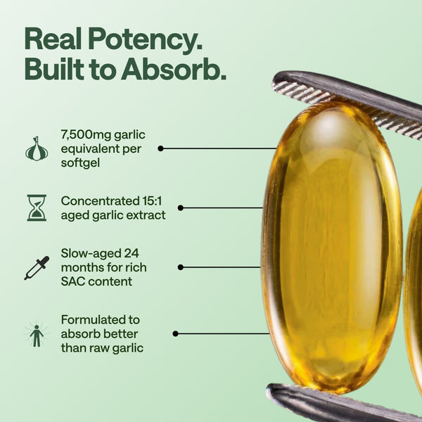 Aged Garlic Extract - 7500mg Odorless Softgels