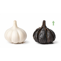 Aged Garlic Extract